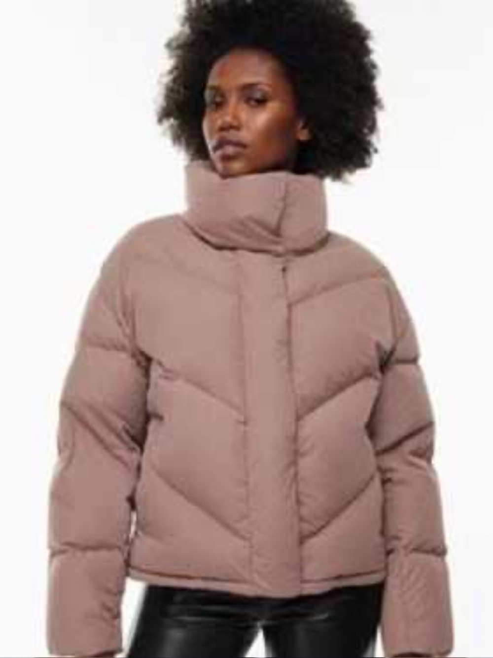 Aritzia | Wilfred | The Cloud Puff | Flawed